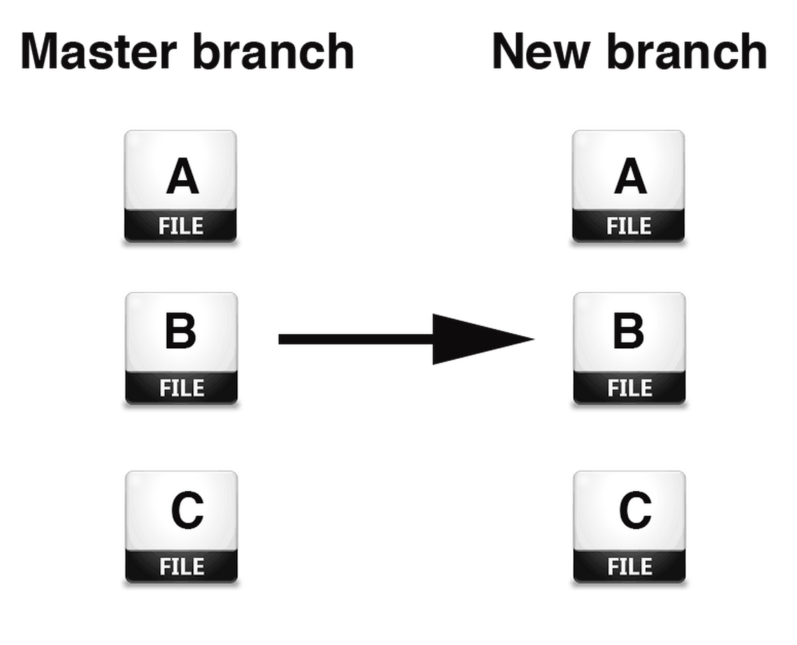 branch example